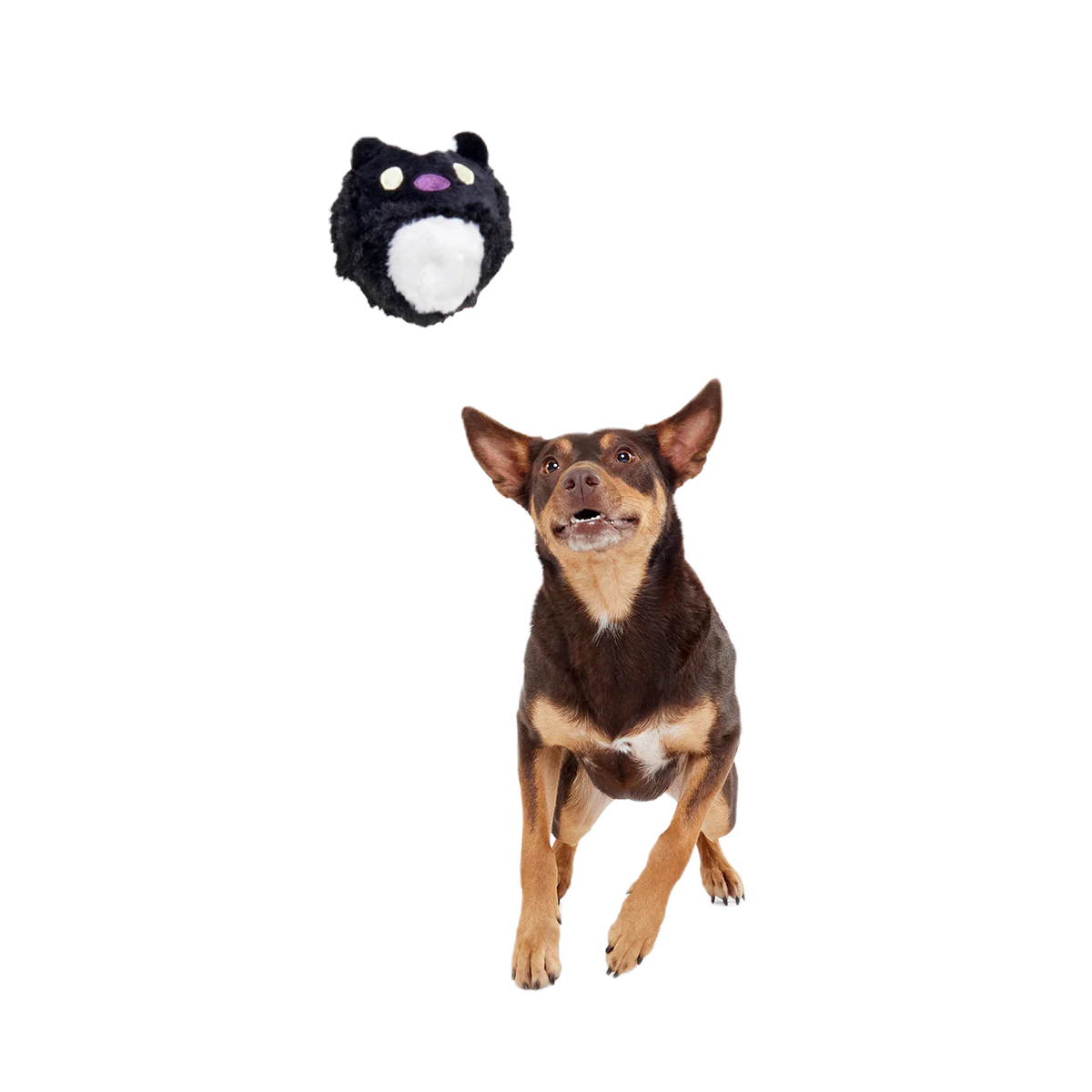 Hunky Skunky Super Chewer Durable 2-in-1 + Fetch Dog Toy - Image 4