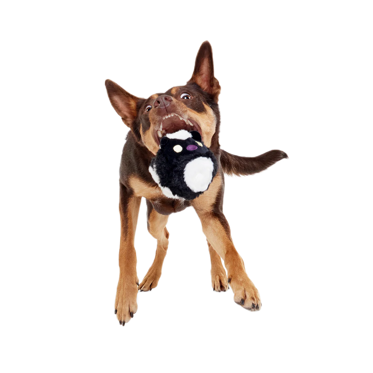 Hunky Skunky Super Chewer Durable 2-in-1 + Fetch Dog Toy - Image 5