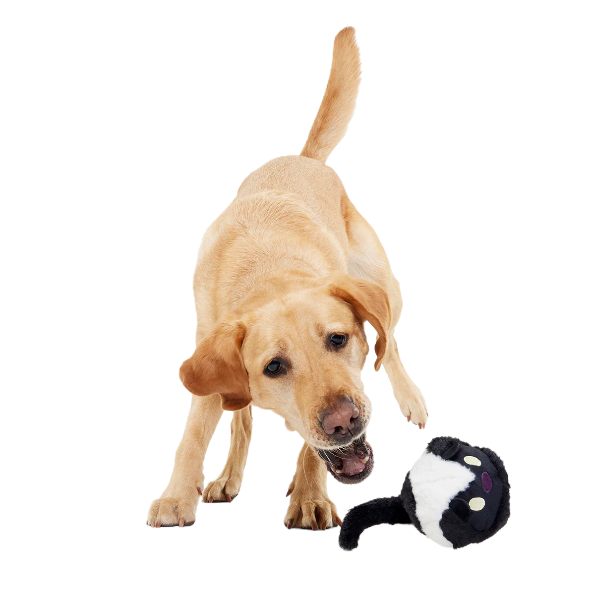 Hunky Skunky Super Chewer Durable 2-in-1 + Fetch Dog Toy - Image 6