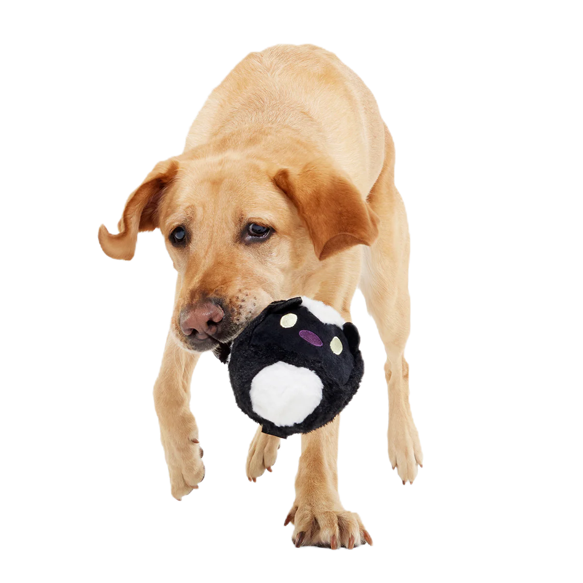 Hunky Skunky Super Chewer Durable 2-in-1 + Fetch Dog Toy - Image 7