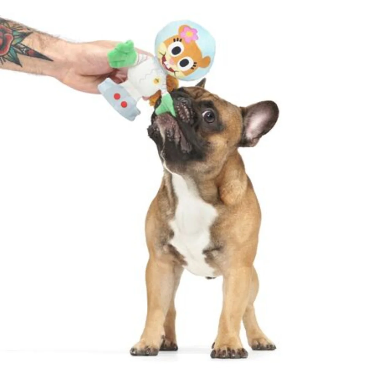 Kah-Rah-Tay Chomp Sandy Plush Tug Dog Toy - Image 4