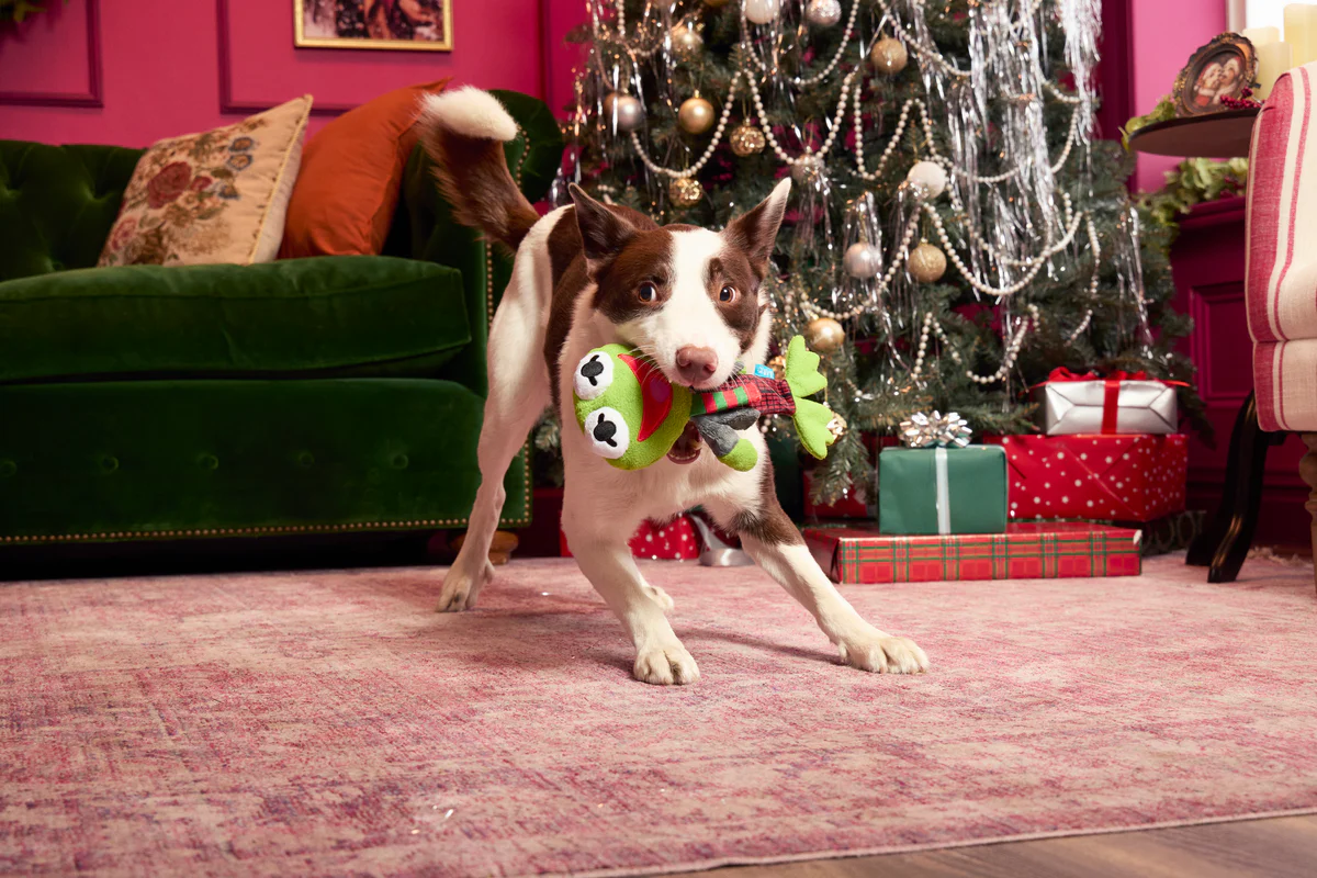 Kermit the Frog as “Bob Catch-It" Plush Tug Dog Toy - Image 4