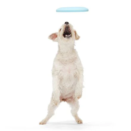 Liftoff Durable Super Chewer Fetch Dog Toy - Image 3