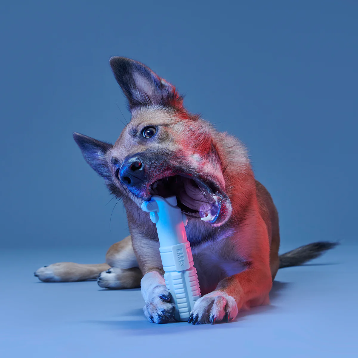 Light Side Star Wars™ Super Chewer Durable Bundle Fetch + Gnaw Dog Toy - Image 2