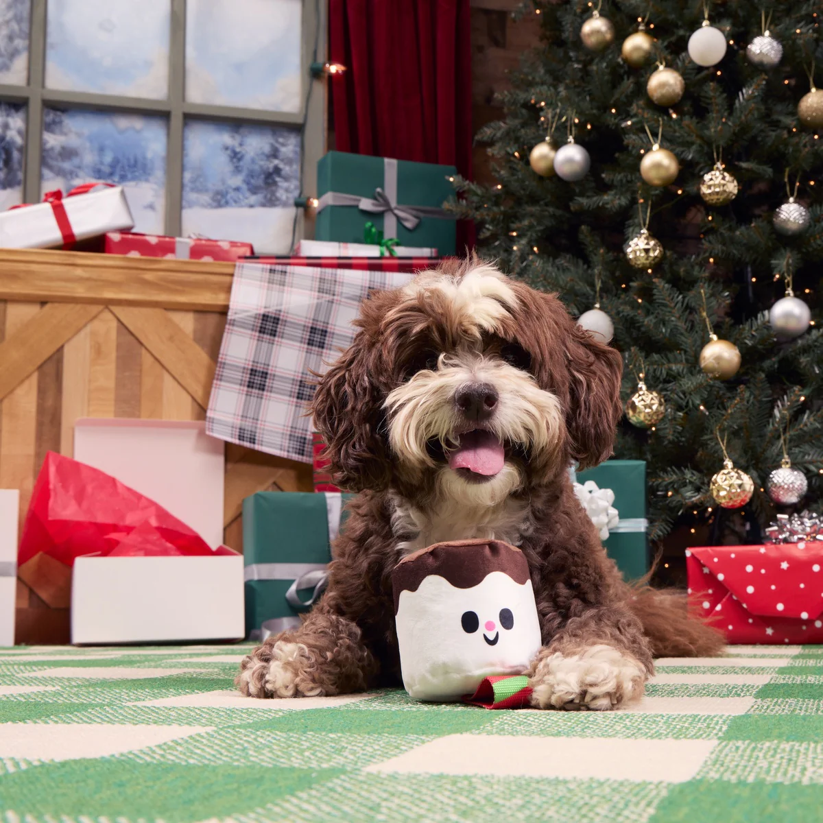 Lil Bro-coa Tug Dog Toy - Image 5