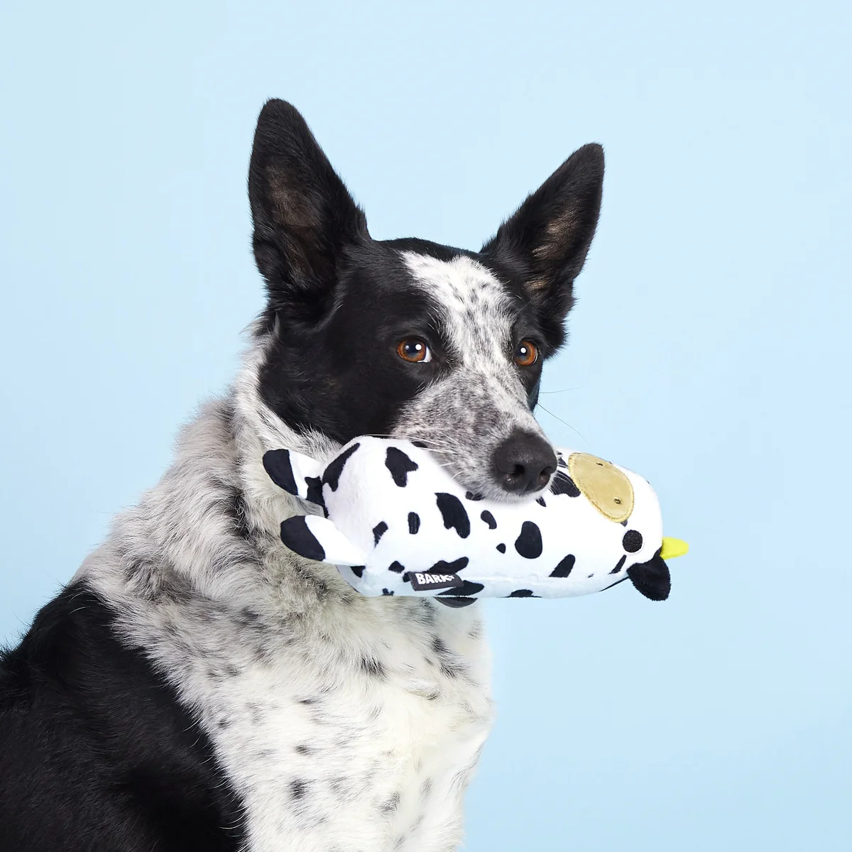 Mad Cow Super Chewer Durable 2-in-1 Dog Toy - Image 3