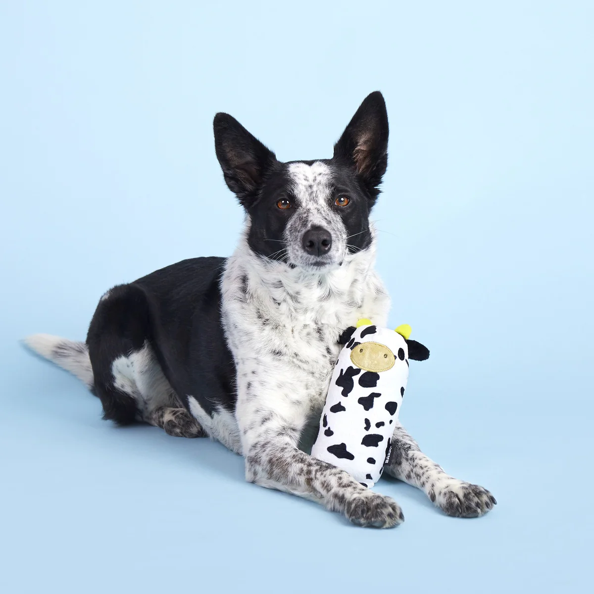 Mad Cow Super Chewer Durable 2-in-1 Dog Toy - Image 4