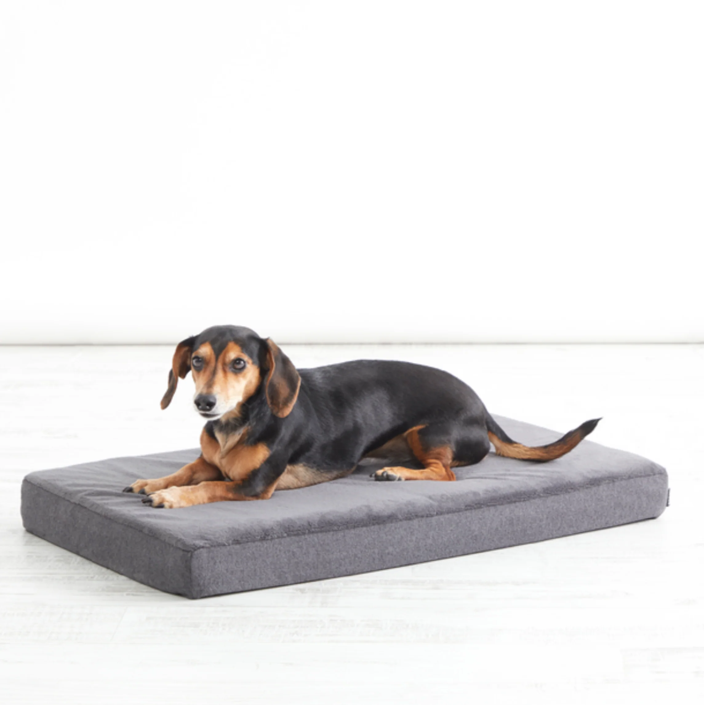Platform Dog Bed - Image 5