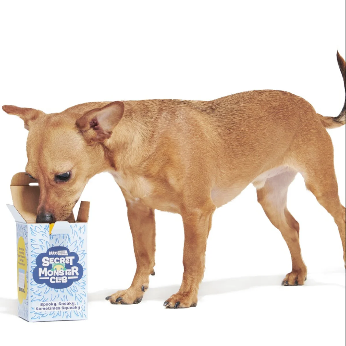 Secret Monster Club, Super Chewer Durable 2-in-1 Rip and Reveal Monthly Dog Toys - Image 3