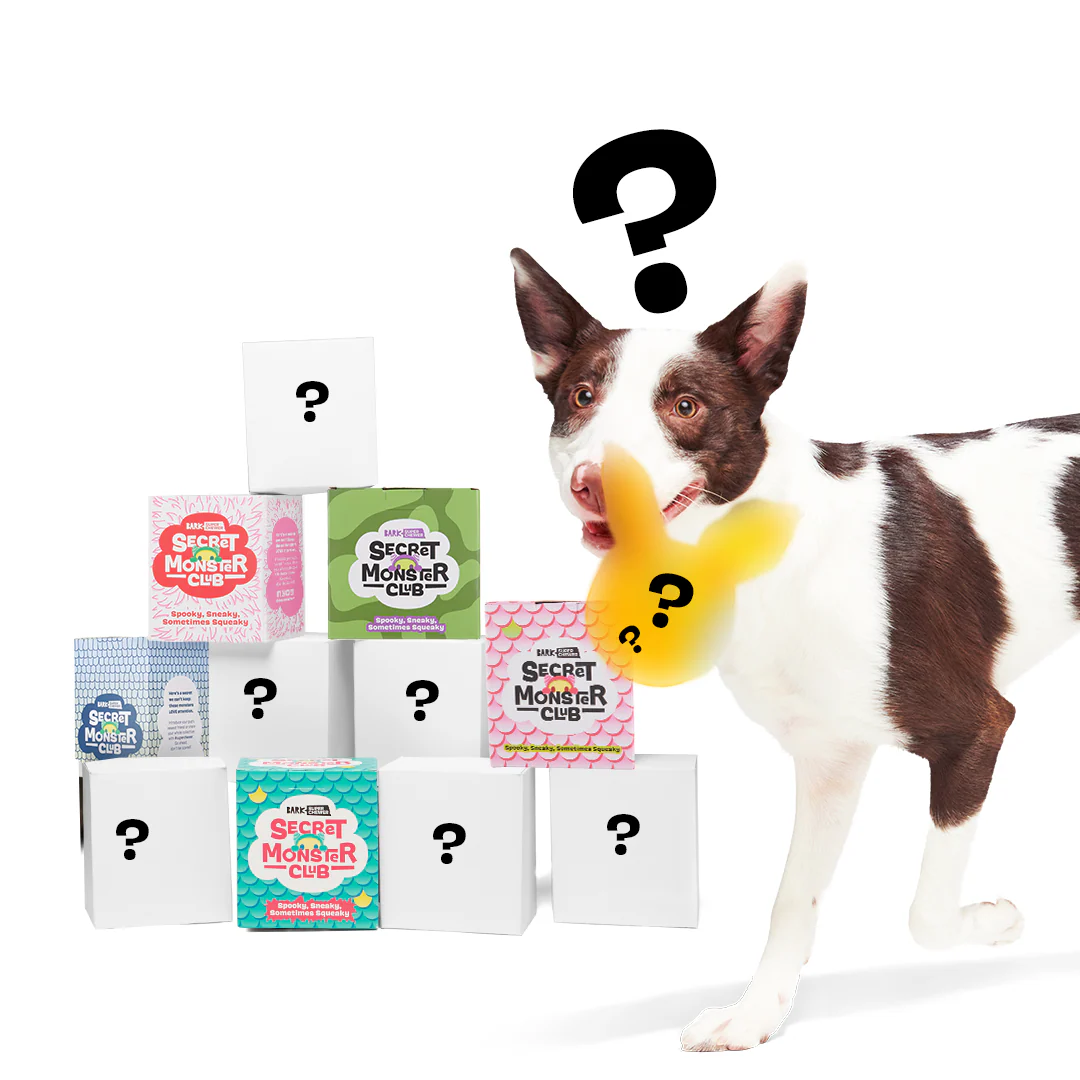 Secret Monster Club, Super Chewer Durable 2-in-1 Rip and Reveal Monthly Dog Toys - Image 4