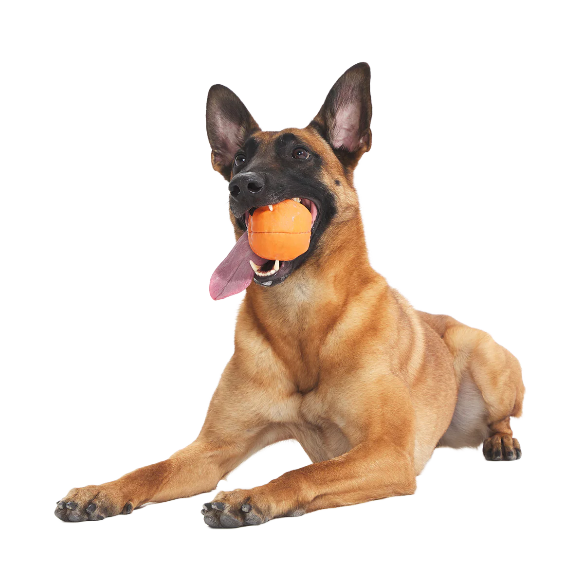 Orange Crush Super Chewer Durable 2-in-1 + Fetch Dog Toy - Image 3