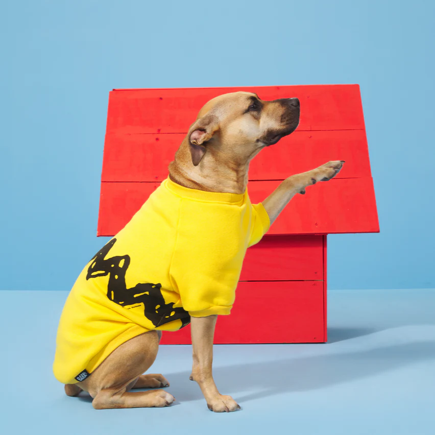Peanuts Dog Sweatshirt - Image 3