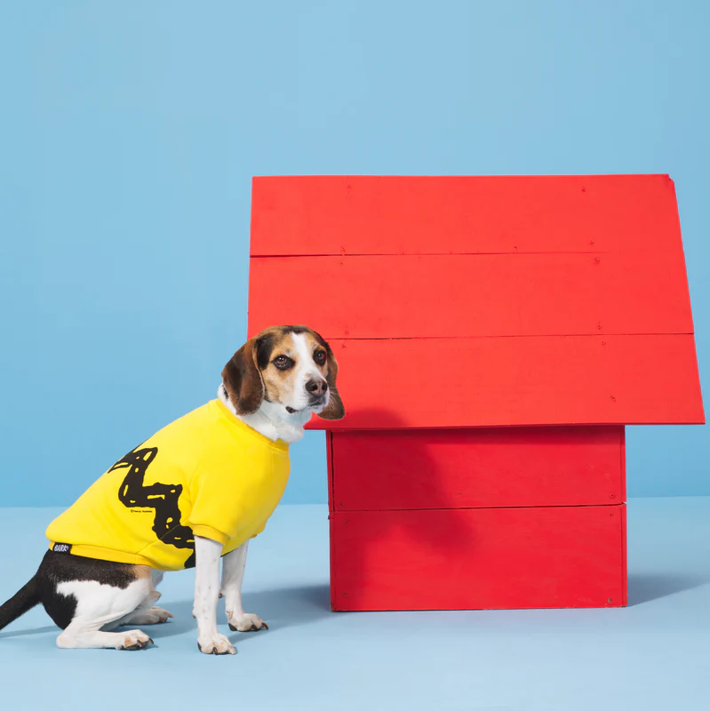 Peanuts Dog Sweatshirt - Image 4
