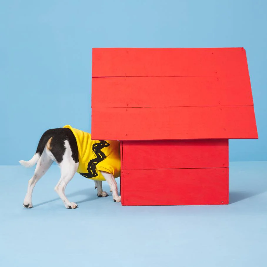 Peanuts Dog Sweatshirt - Image 5