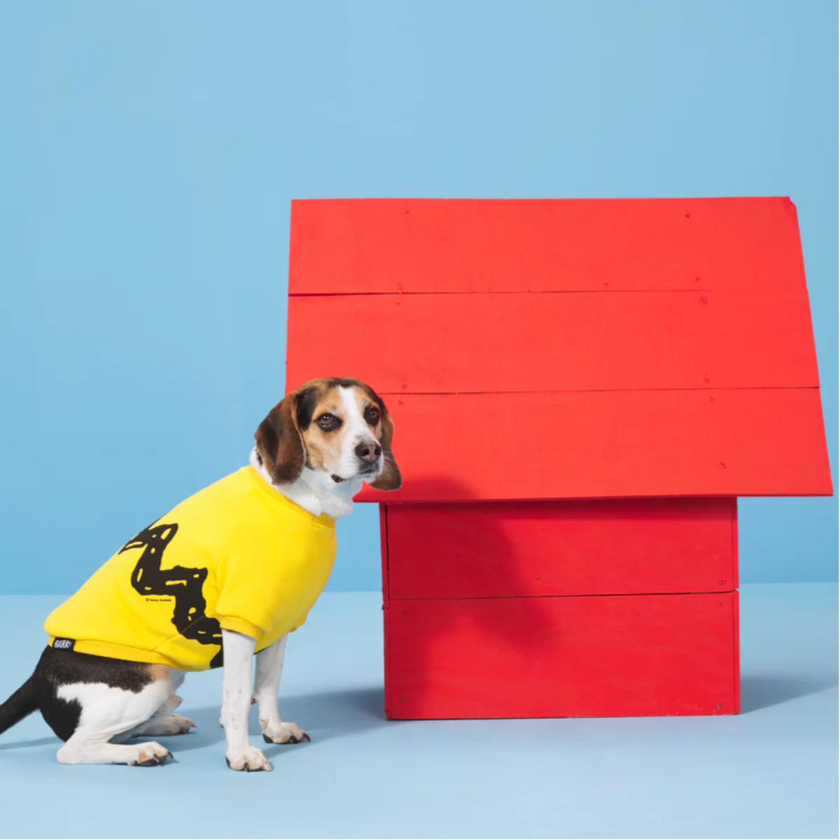 Peanuts Dog Sweatshirt - Image 4