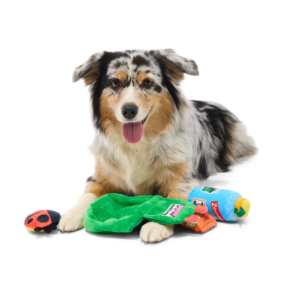 PNW Barkpack Plush Multi-Part + Enrichment Dog Toy - Image 8