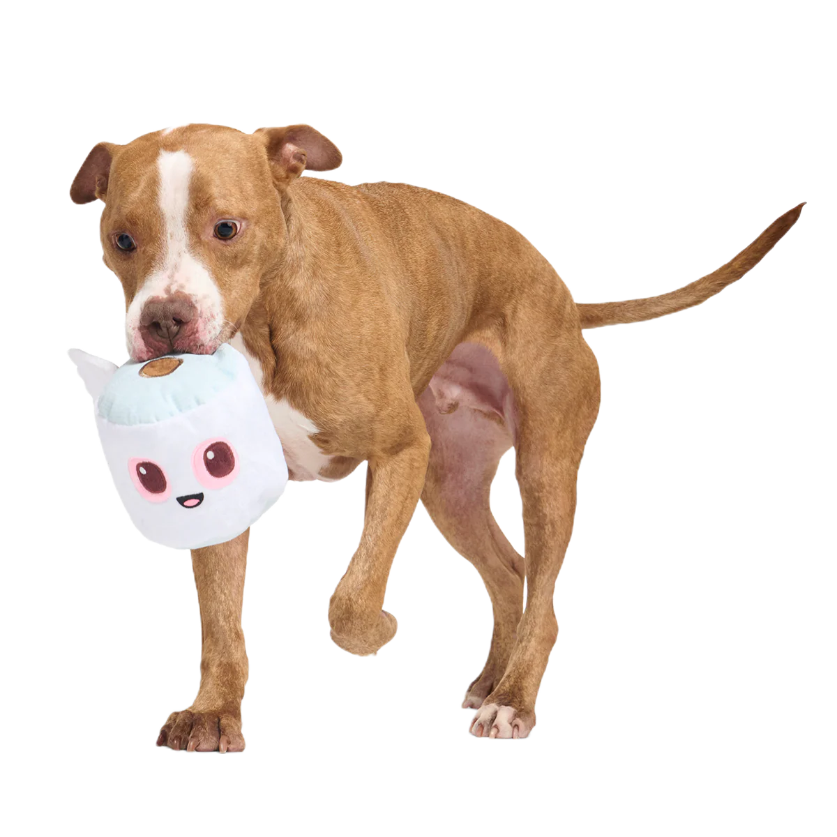 Pottymouth Pete Plush 2-in-1 + Tug Dog Toy - Image 3