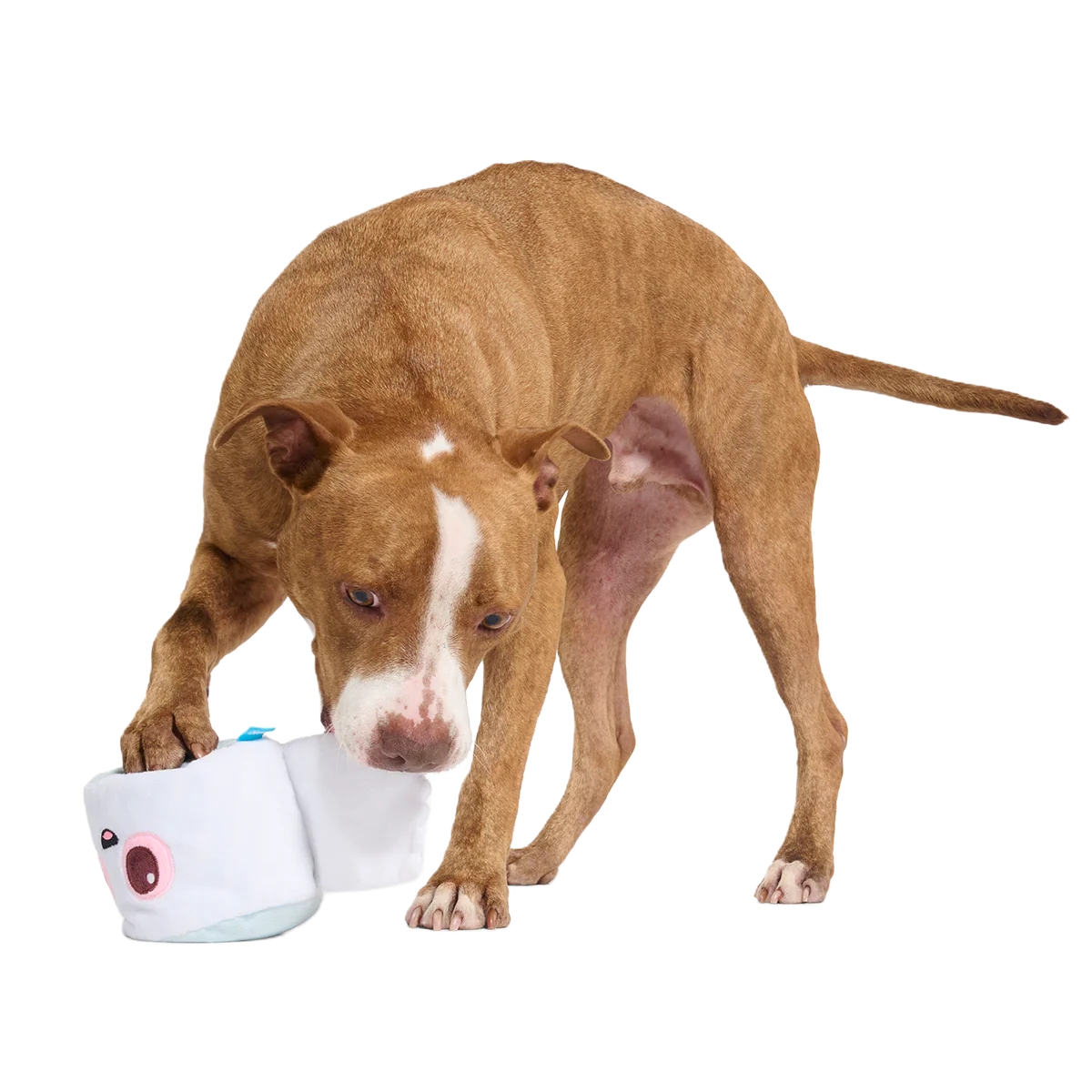 Pottymouth Pete Plush 2-in-1 + Tug Dog Toy - Image 4
