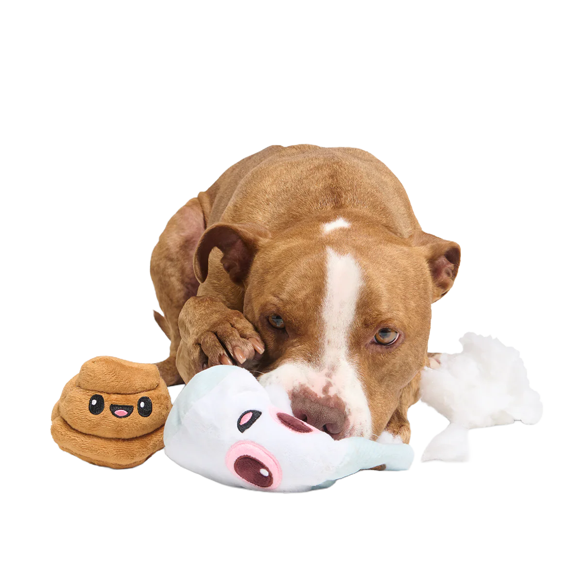 Pottymouth Pete Plush 2-in-1 + Tug Dog Toy - Image 5