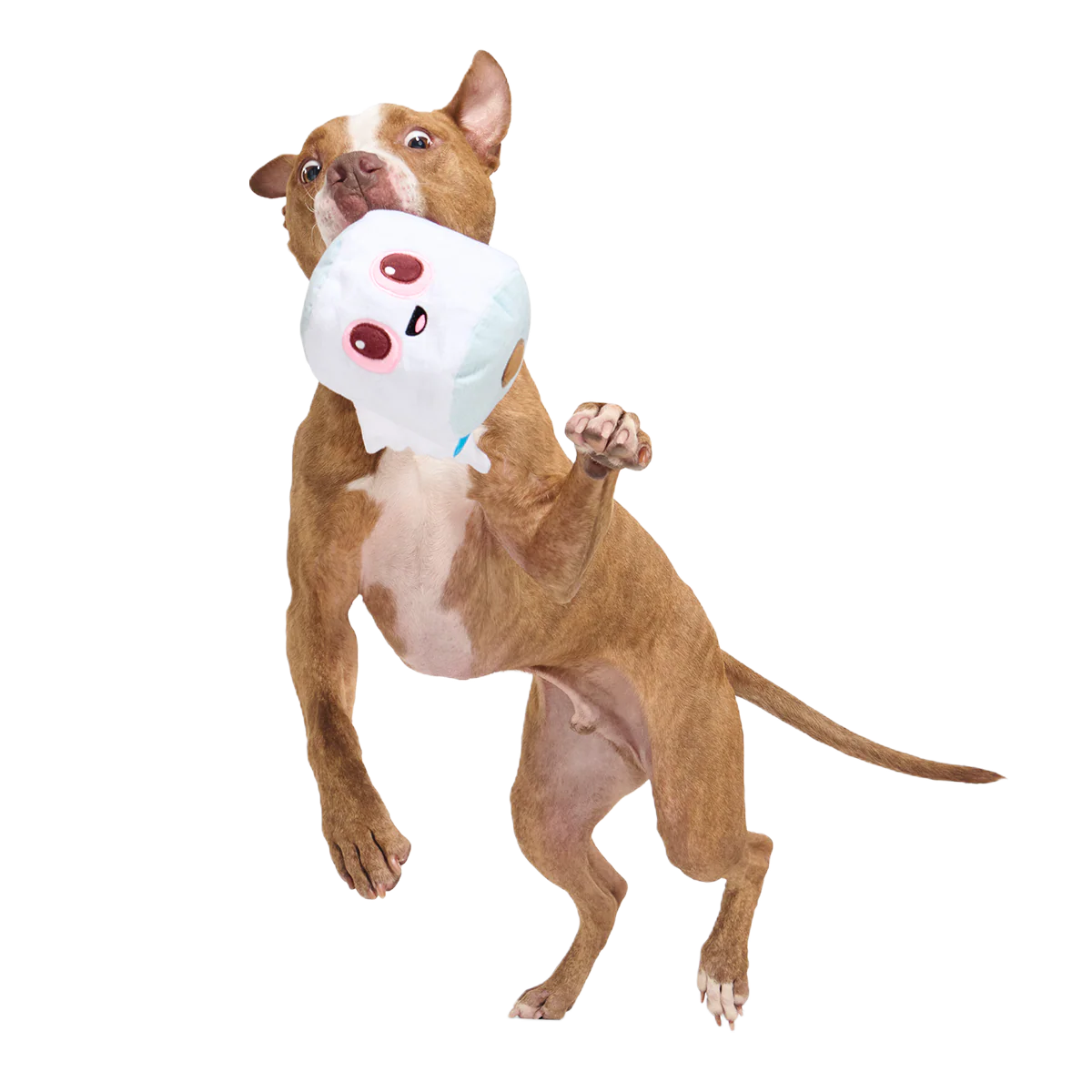Pottymouth Pete Plush 2-in-1 + Tug Dog Toy - Image 6