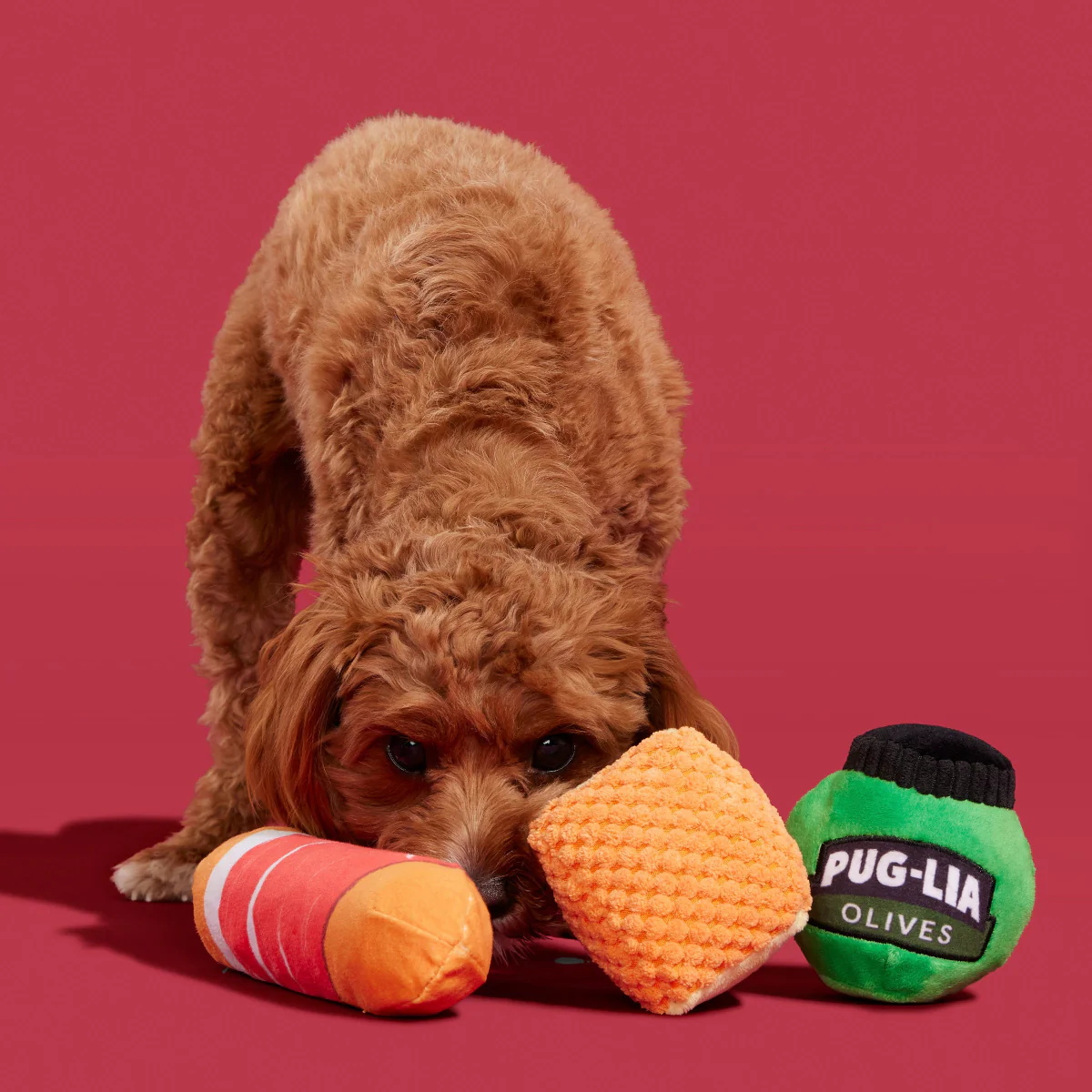Primo Pawsto - Image 3