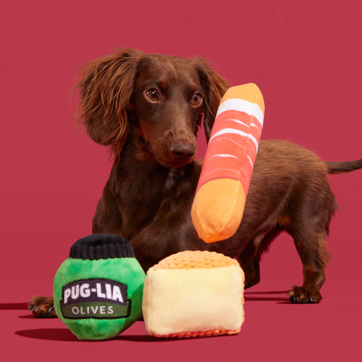 Primo Pawsto - Image 4