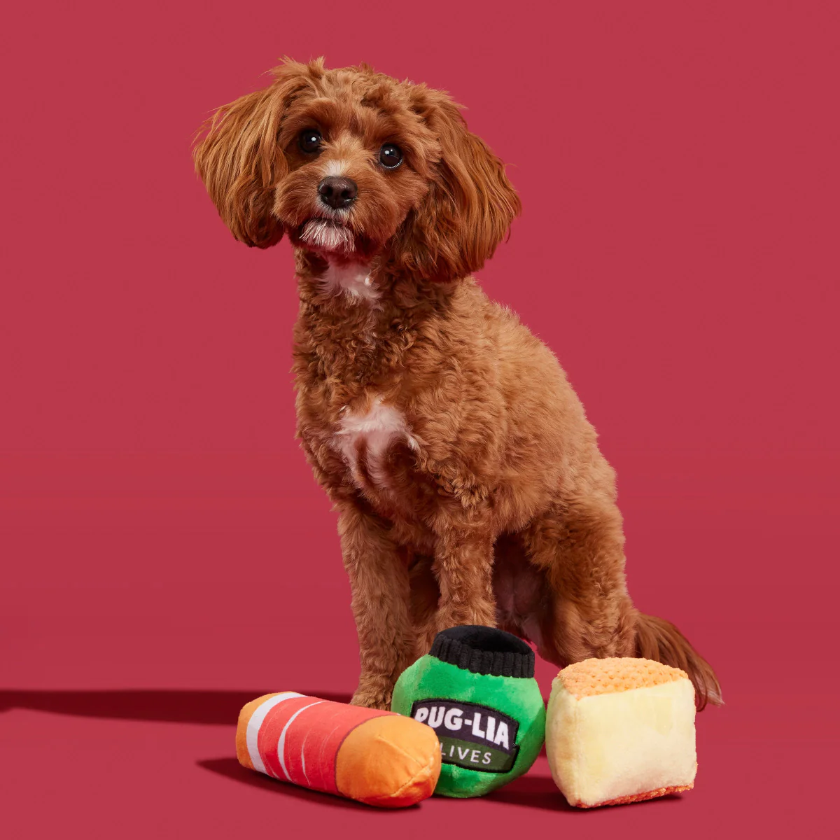 Primo Pawsto - Image 5