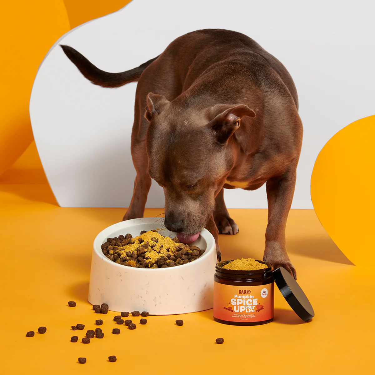 Pumpkin Spice, And Everything Nice Vegetarian Dog Food Meal Topper, 6.1 oz - Image 3