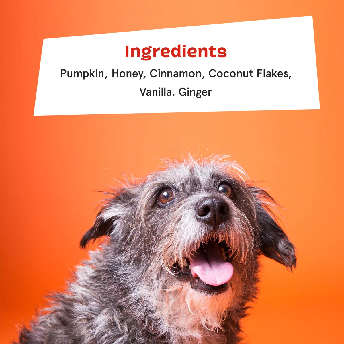 Pumpkin Spice, And Everything Nice Vegetarian Dog Food Meal Topper, 6.1 oz - Image 5