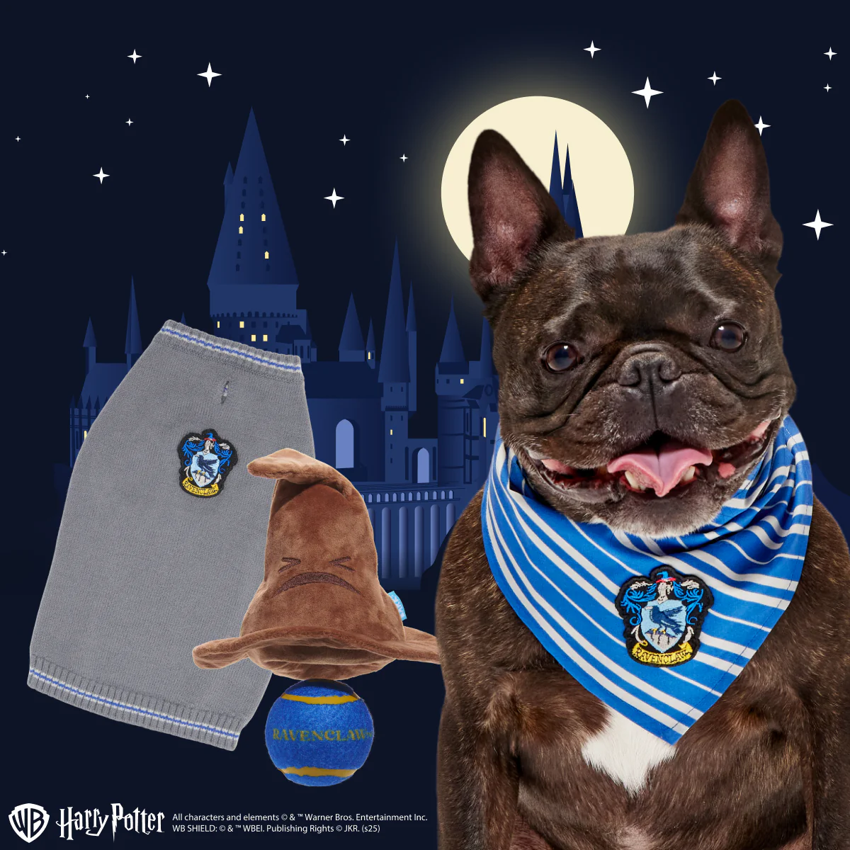 Ravenclaw™  Bundle - Image 4