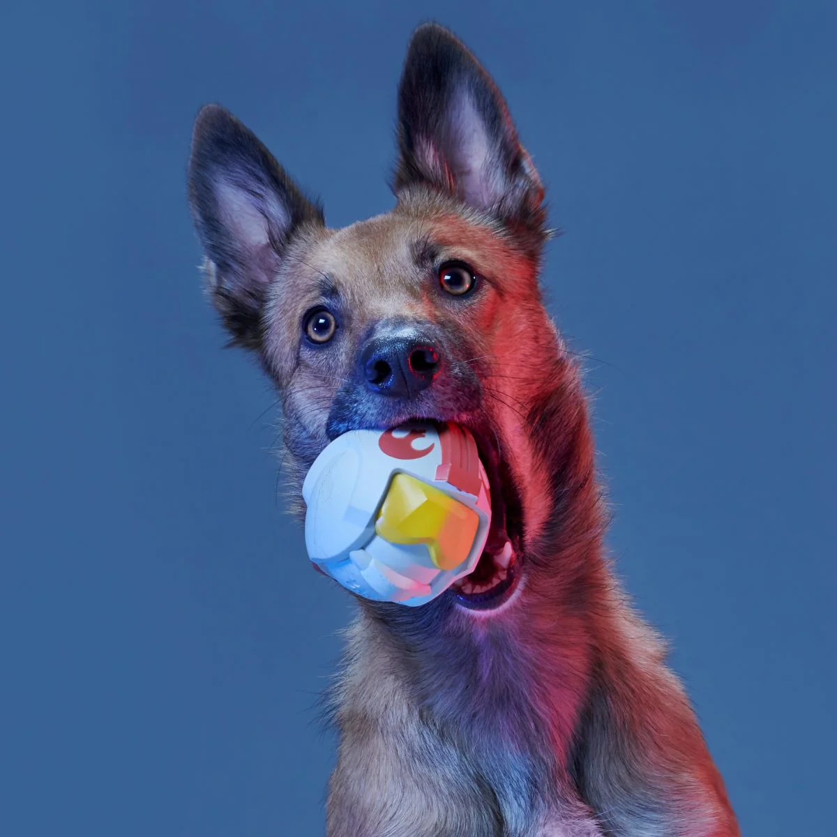 Fetch My Rebel Helmet Super Chewer Durable Fetch Dog Toy - Image 2