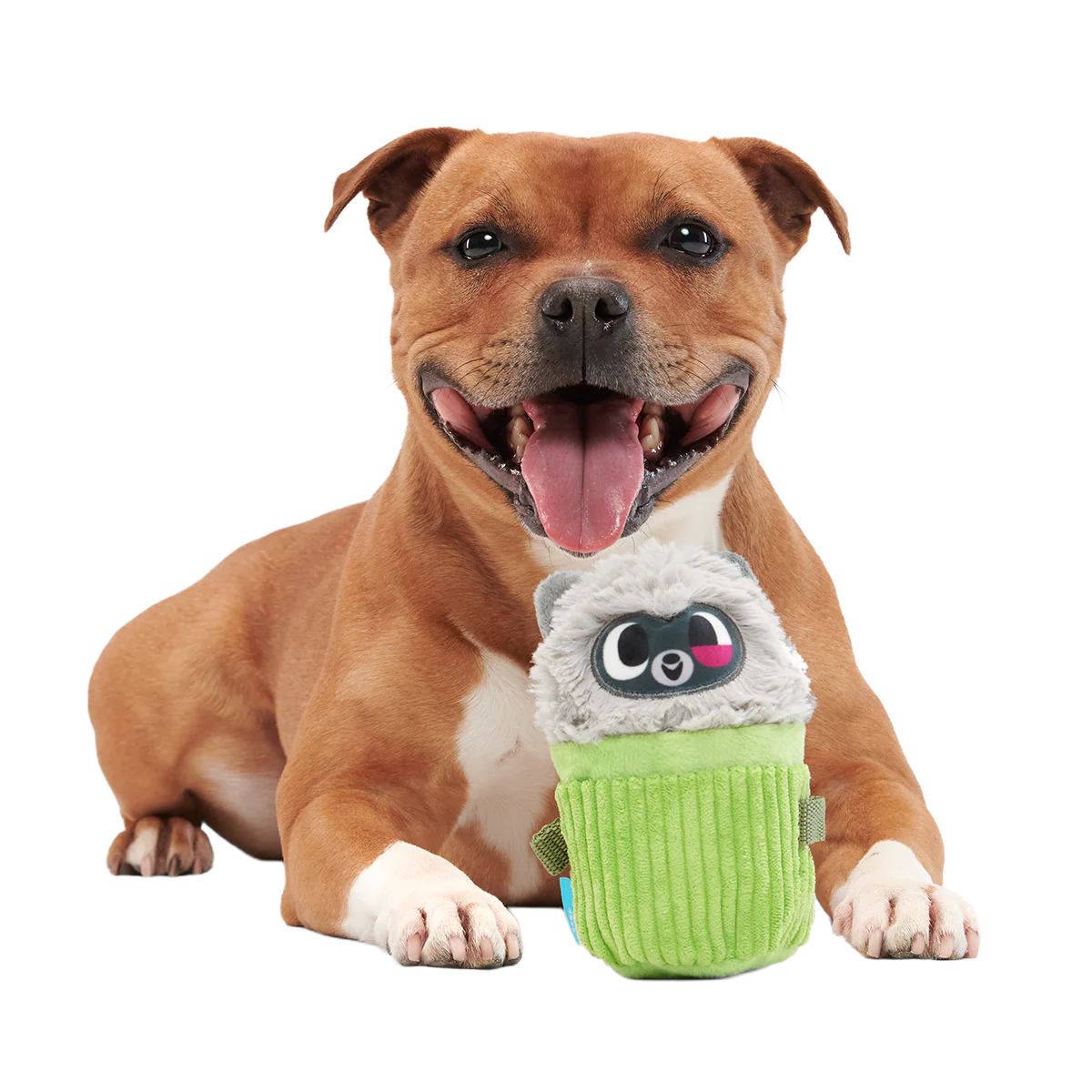 Rickie Racoon the Trash Tycoon Plush Enrichment + Multi-Part Dog Toy - Image 3