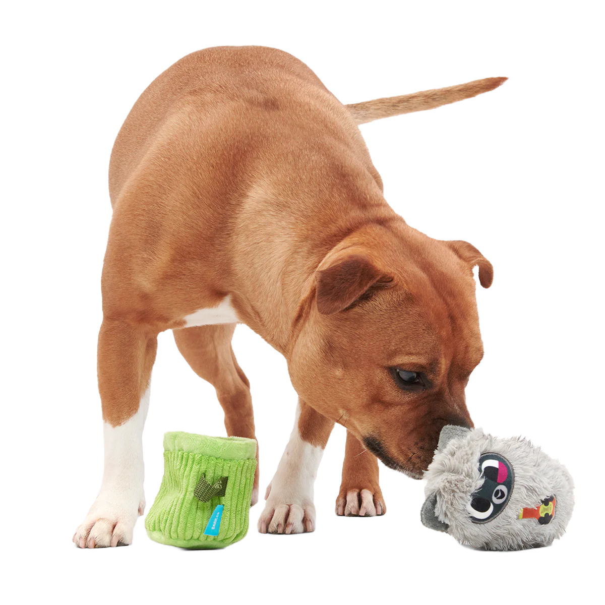 Rickie Racoon the Trash Tycoon Plush Enrichment + Multi-Part Dog Toy - Image 4