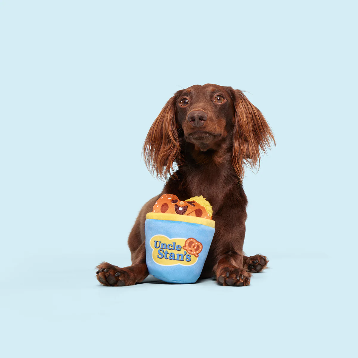 Salty Stan Plush Multi-Part + Enrichment Dog Toy - Image 3