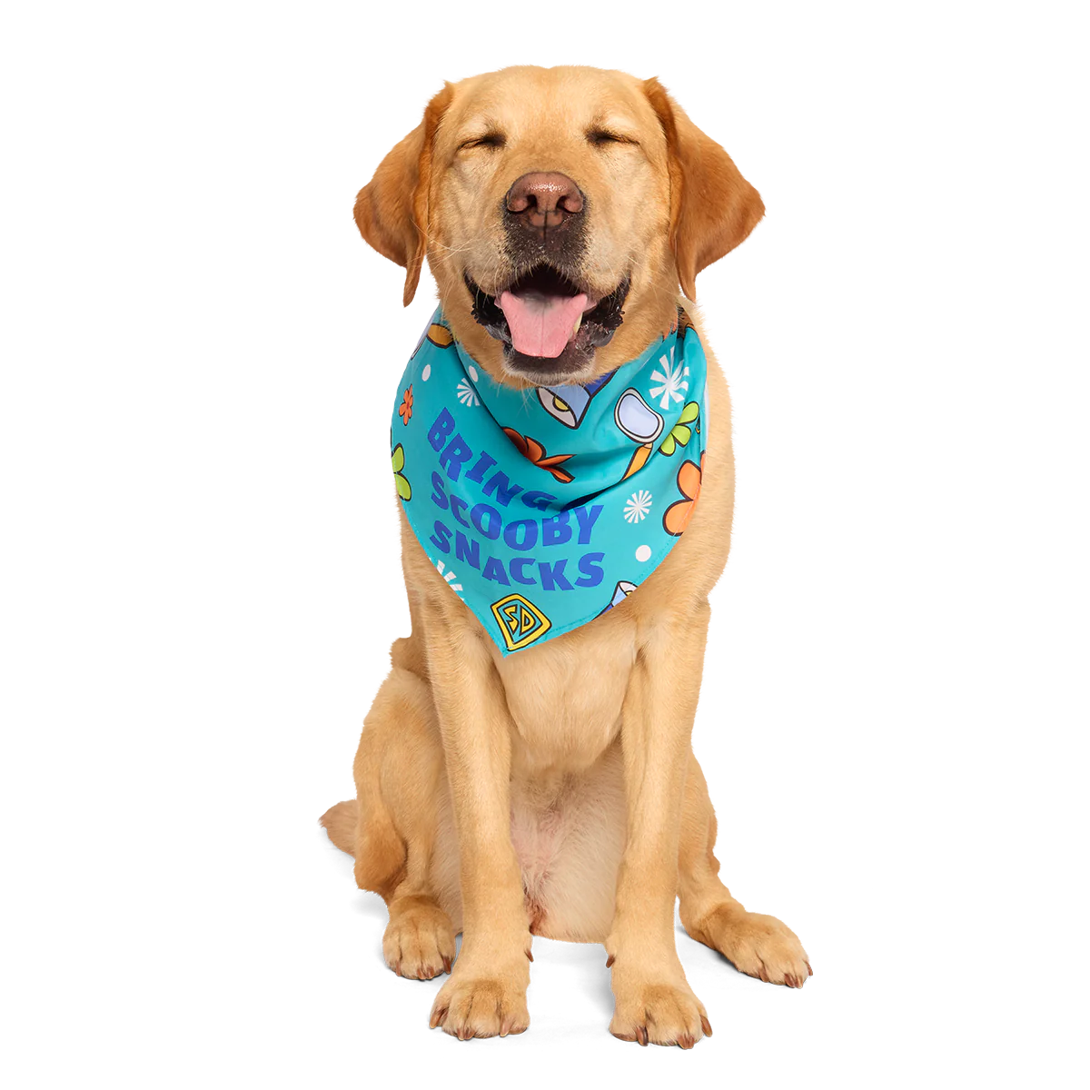 Scooby™ Snacks Dog Bandana - Image 3