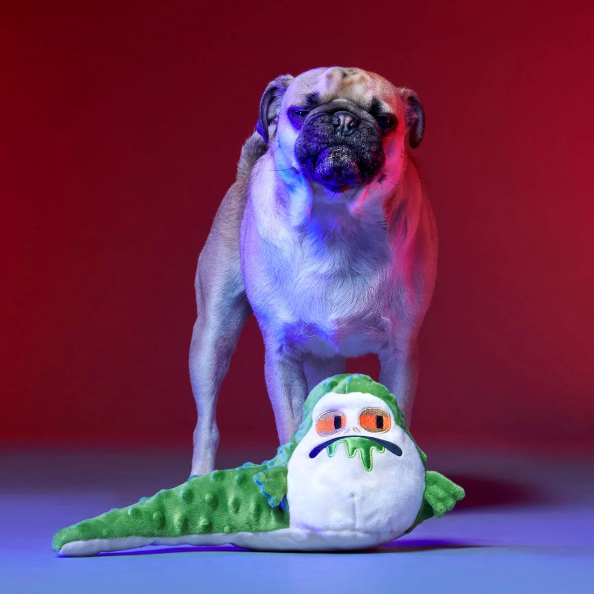 No Barkin', Young Jedi™ Plush Tug Dog Toy - Image 2