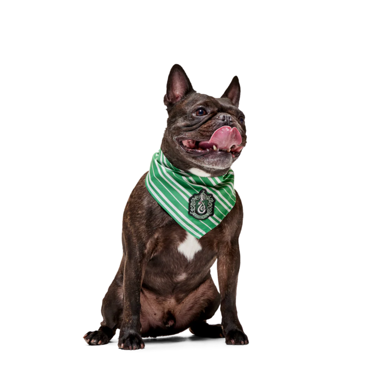 HARRY POTTER™ House Dog Bandana - Image 4