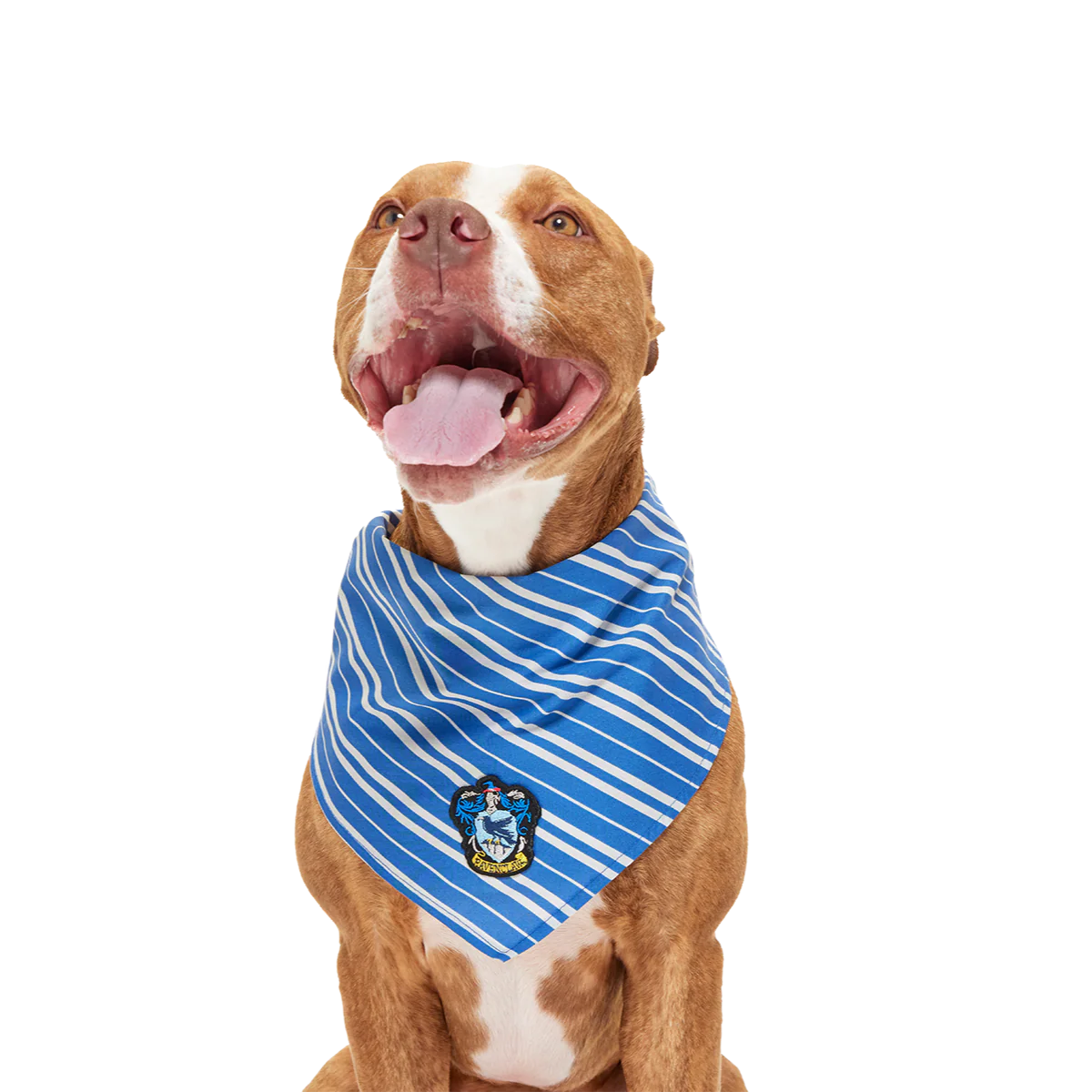 HARRY POTTER™ House Dog Bandana - Image 7