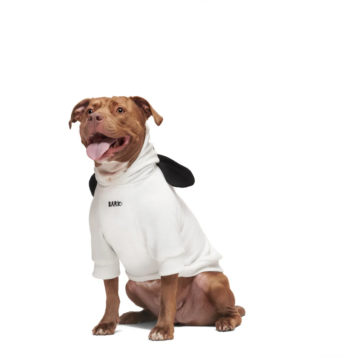 Snoopy Dog Hoodie - Image 8