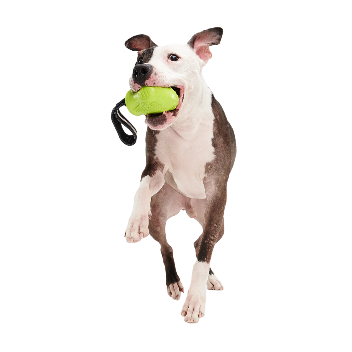 Snout Guard Super Chewer Durable Tug Dog Toy - Image 3