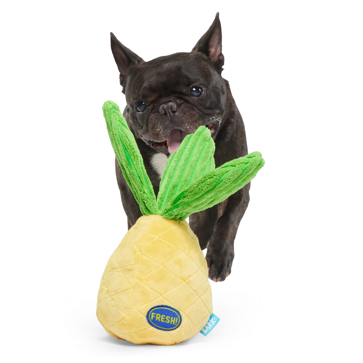 Spiky Pineyapple - Image 4