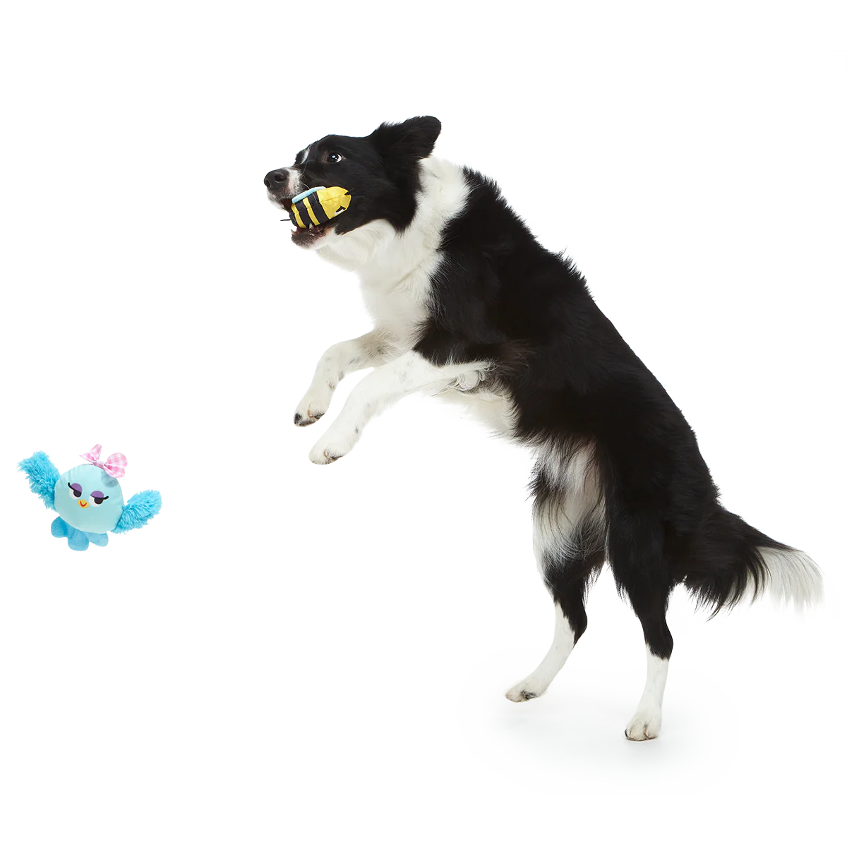 Spring Fling Plush Multi-Part + Fetch Dog Toy - Image 3