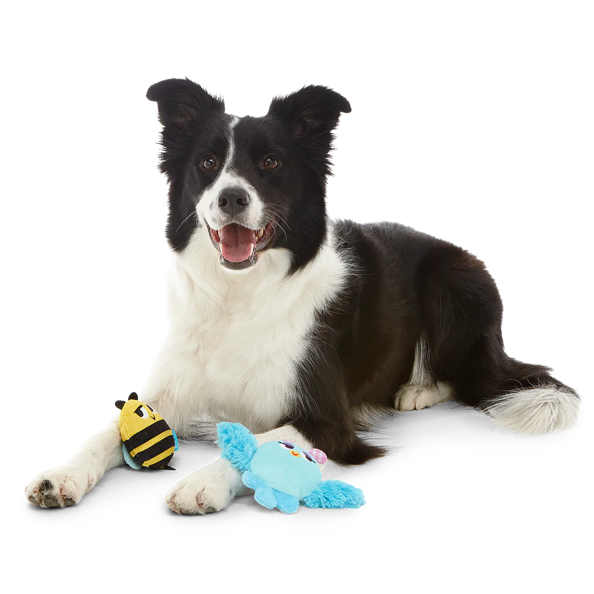 Spring Fling Plush Multi-Part + Fetch Dog Toy - Image 4