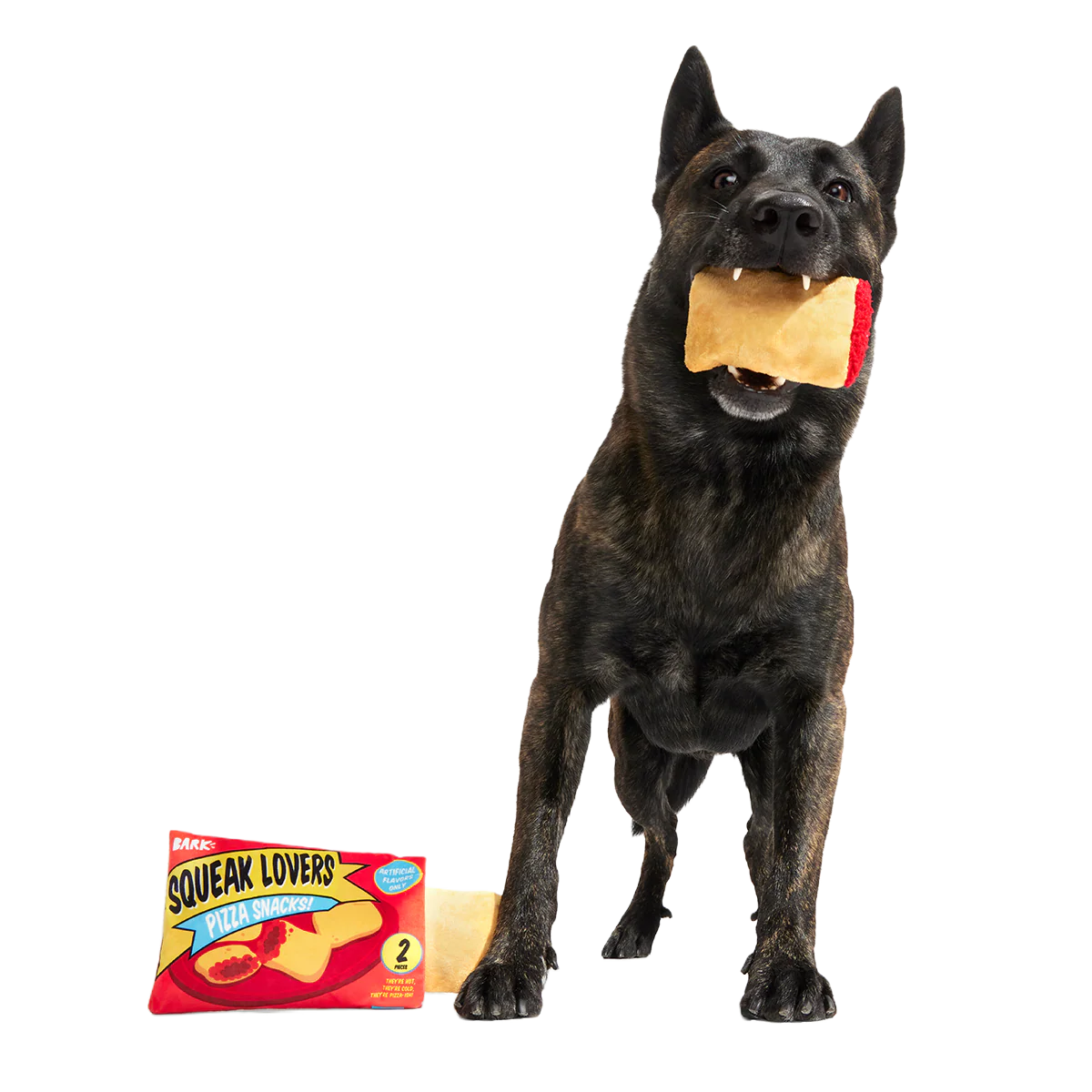 Squeak Lovers Pizza Snacks Plush Multi-Part + Enrichment Dog Toy - Image 3