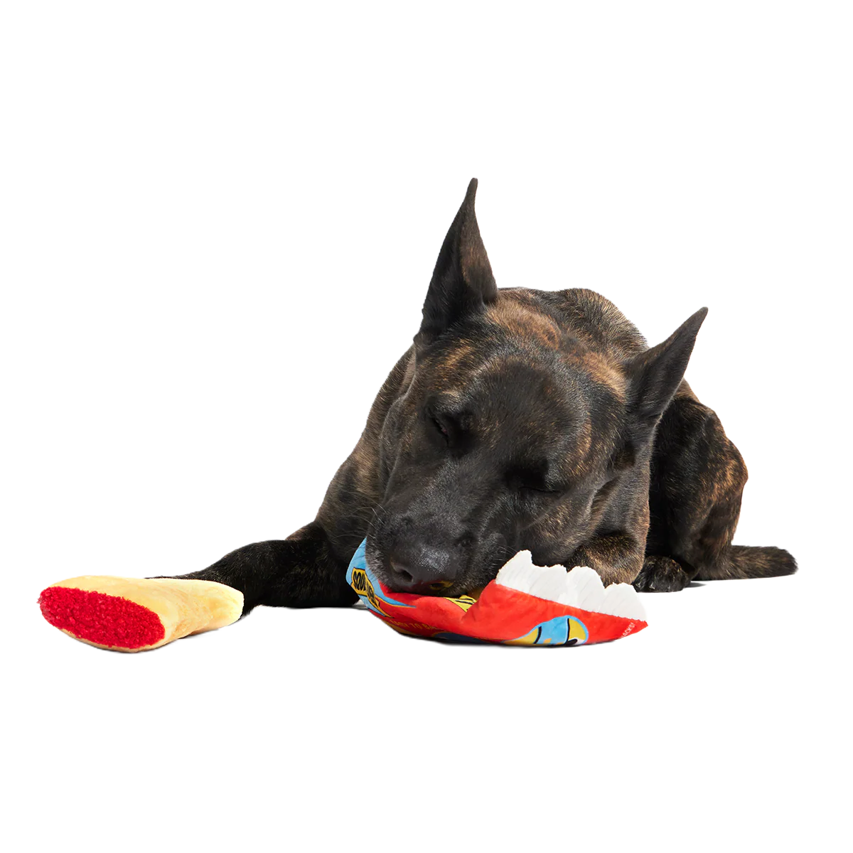 Squeak Lovers Pizza Snacks Plush Multi-Part + Enrichment Dog Toy - Image 4