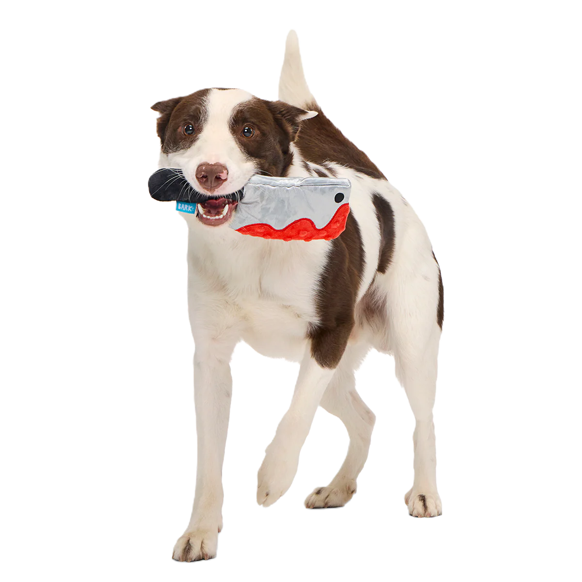 Squeakopath Knife Plush Tug Dog Toy - Image 2