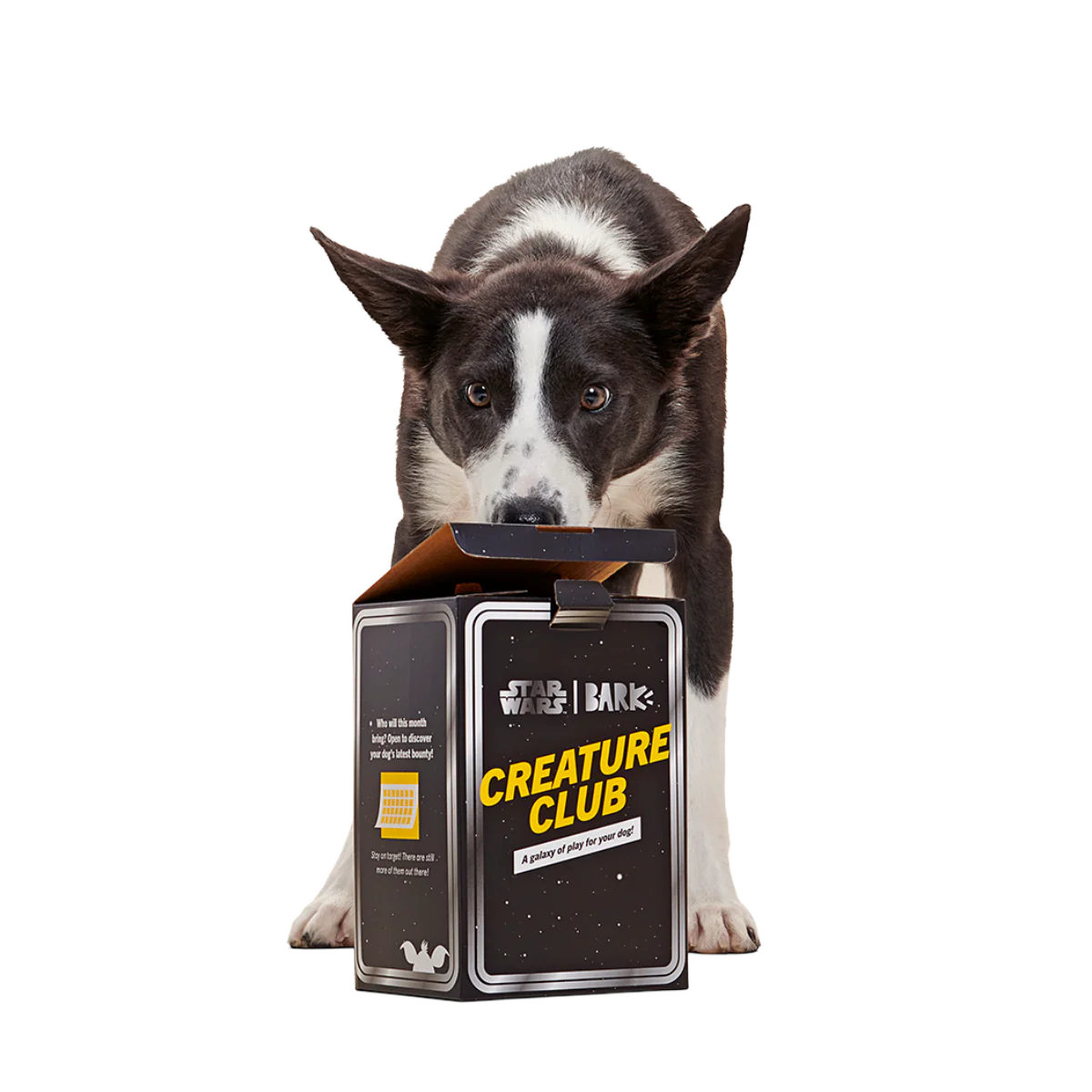Star Wars™ Creature Club, Plush Monthly Dog Toys - Image 3