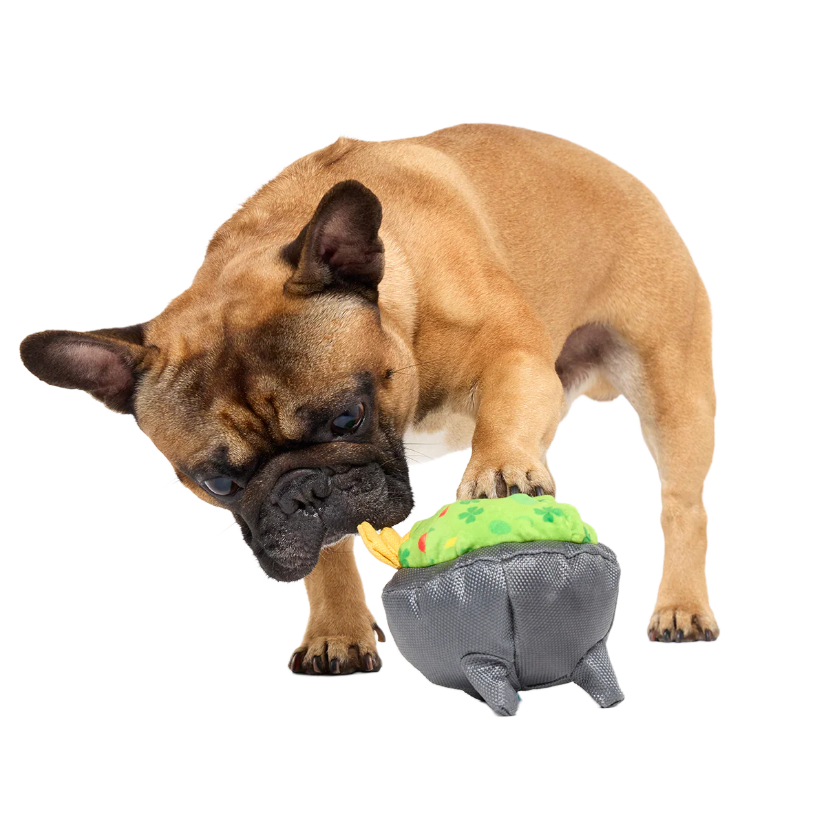 Stop, Guac, & Mole Plush Tug Dog Toy - Image 2