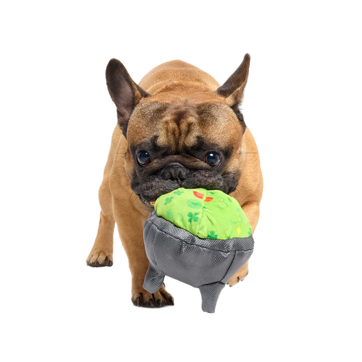 Stop, Guac, & Mole Plush Tug Dog Toy - Image 3
