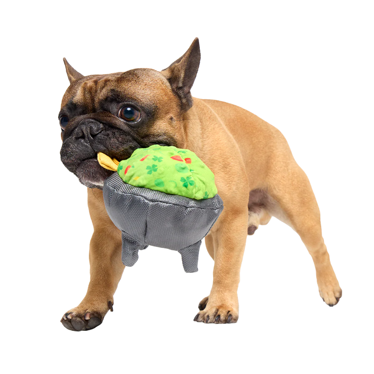 Stop, Guac, & Mole Plush Tug Dog Toy - Image 4